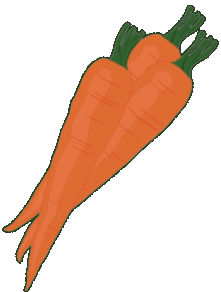 img/vegs/carrots.gif