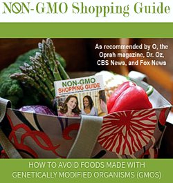 NON-GMO Shopping Guide -- click for the website